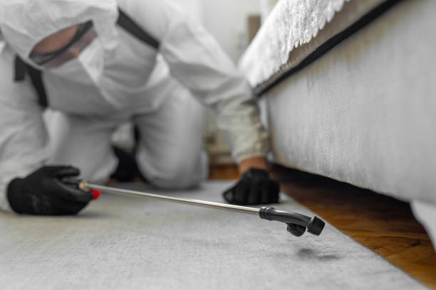 Professional Bed Bug Control technician working in Moses Lake, WA