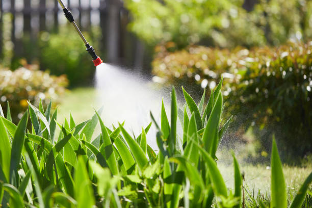24/7 Emergency Bed Bug Control experts in Moses Lake, WA