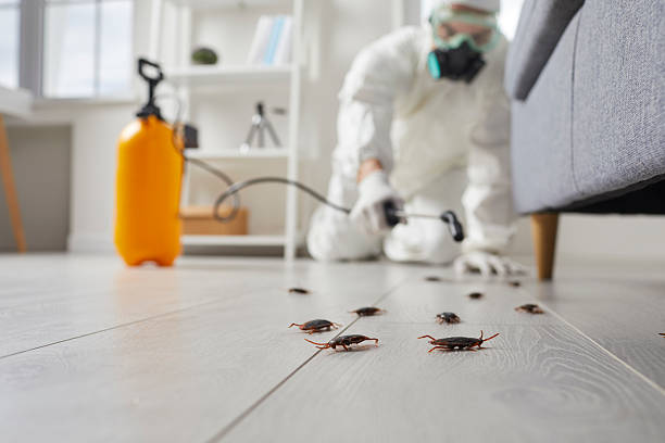 Trusted Emergency Pest Control service in Moses Lake, WA - Nex Pest Control
